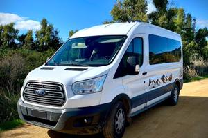 Van Ford Transit 2017