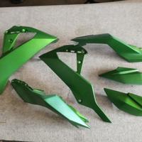 Carene Kawasaki Z300