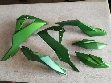 Carene Kawasaki Z300