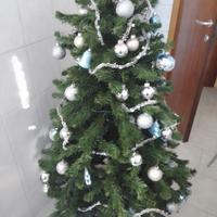 Albero di Natale