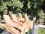 Immagine 6