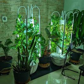 Orto aeroponico - Tower Garden 