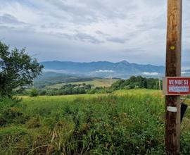 Terreno Agricolo collinare ad Alvignano