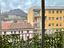 Immagine 6