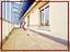 Immagine 12