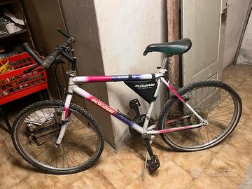 Bicicletta ragazzo
