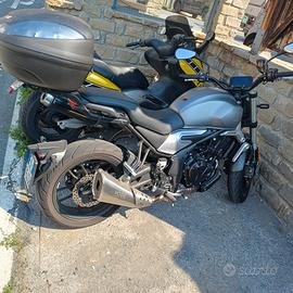 Voge Trofeo 500