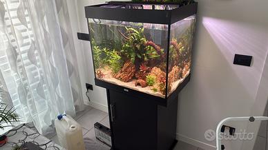 Acquario JUWEL 180 + accessori