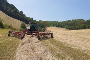 Ranghinatore doppio centrale stellare tonutti