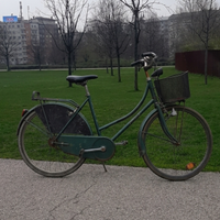Bicicletta da donna 26
