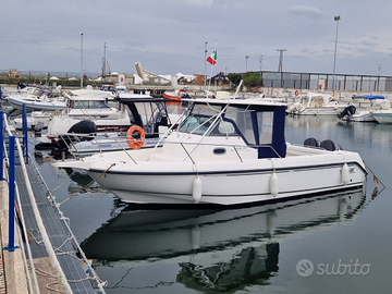 Boston Whaler Outrage 290