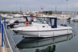 Boston Whaler Outrage 290