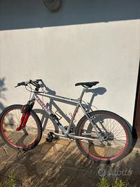Bicicletta iride carlo gemmati