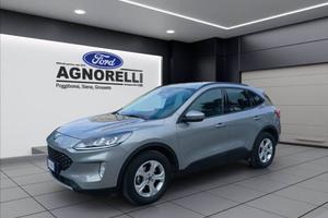 FORD Kuga 1.5 ecoblue Connect 2wd 120cv