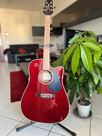 Chitarra acustica Takamine serie G