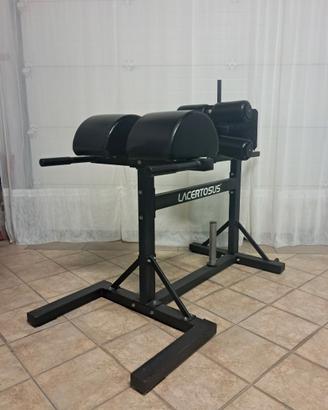 GHD pro Lacertosus