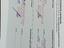 Immagine 22