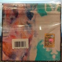 cd  Bernardo Lanzetti Eclecticlanz