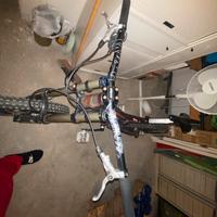 bici downhill