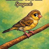 Canarino Timbrado spagnolo