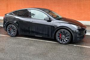 TESLA MODEL Y PERFORMANCE