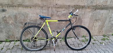 Bici MTB