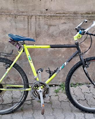 Bici MTB