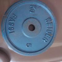 Vari Dischi Ghisa Vintage Weider Fassi + bilancere