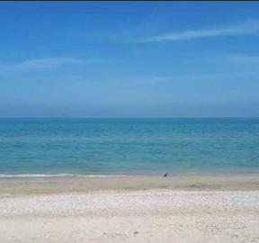 Pineto 30mt da mare - Settembre