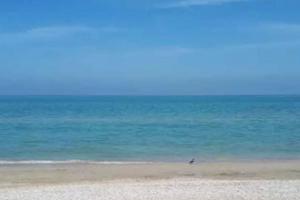 Pineto 30mt da mare - Settembre