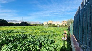 TER. AGRICOLO A PALERMO