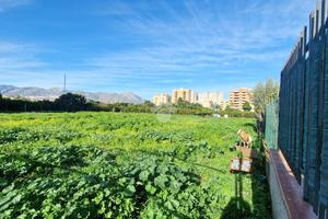 TER. AGRICOLO A PALERMO