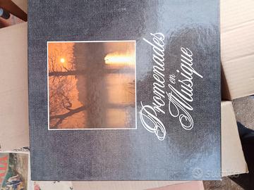 Cofanetto 9 dischi vinile