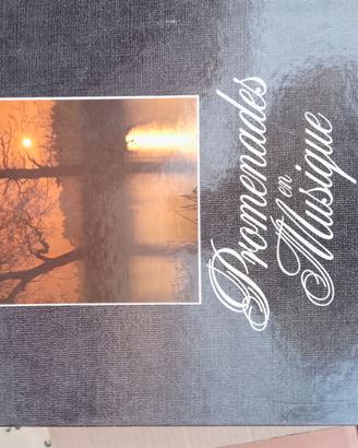 Cofanetto 9 dischi vinile