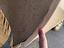 Immagine 18