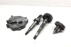 HONDA FORZA 250 CARTER INGRANAGGI RUOTA POSTERIORE