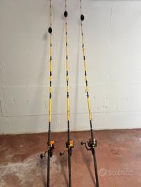 Canne pesca siluro black cat