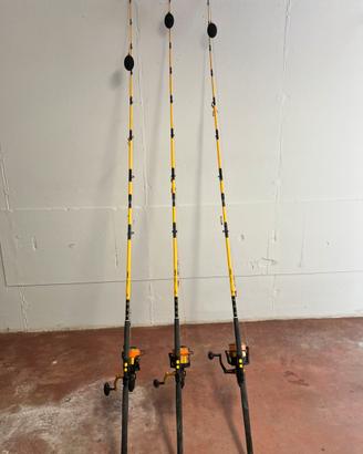 Canne pesca siluro black cat