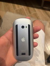 Mouse apple