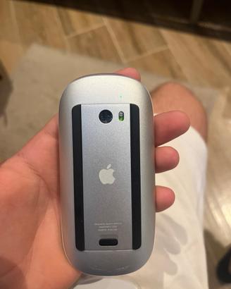 Mouse apple