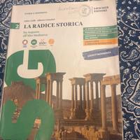 Libro la radice storica (2)