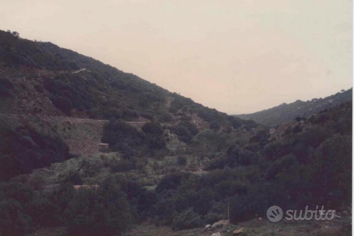 Terreno agricolo San Nicolò - Buggerru - Vista 2