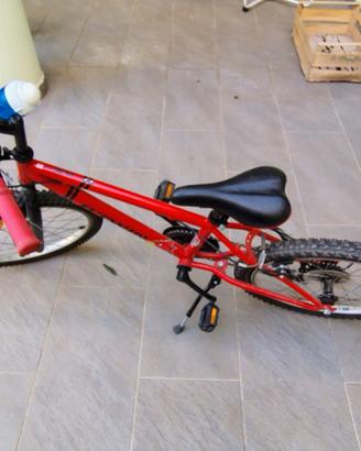 Mtb 20 pollici