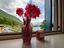 Immagine 23