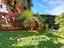 Immagine 25