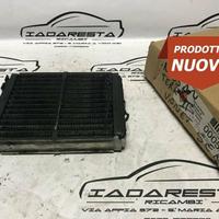 Radiatore Riscaldamento Terrano- Serena 271407F001