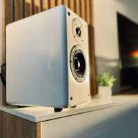 CASSE ACUSTICHE LANA SPEAKERS MOD. TL1 WITHE MADE