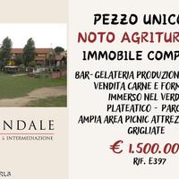 Aziendale - noto agriturismo immobile compreso