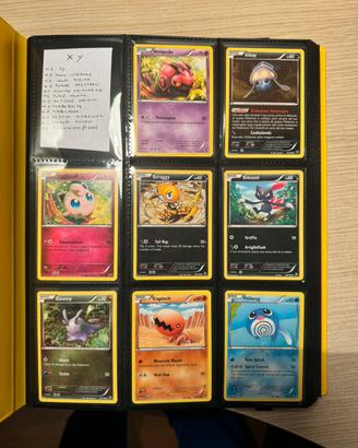 Carte Pokemon Espansioni XY