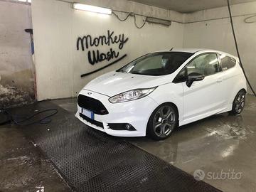 Ford Fiesta 3p 1.6 ST 182cv E6